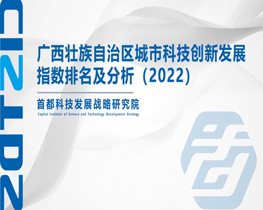 大鸡巴操女人观看在线【成果发布】广西壮族自治区城市科技创新发展指数排名及分析（2022）